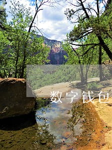 数字钱包逾期催收会p图 数字钱包逾期催收会p图