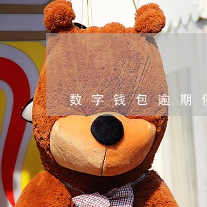 数字钱包逾期催收强制