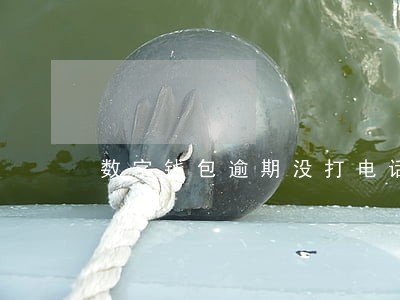 数字钱包逾期没打电话 数字钱包逾期没打电话