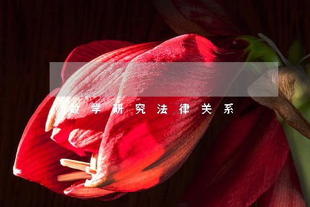 数学研究法律关系 数学研究法律关系