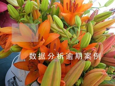 数据分析逾期案例 数据分析逾期案例