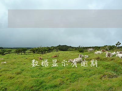 数据显示有逾期 数据显示有逾期