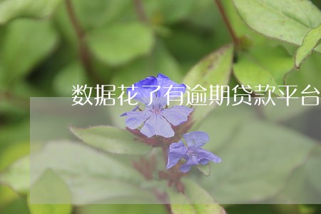 数据花了有逾期贷款平台 数据花了有逾期贷款平台