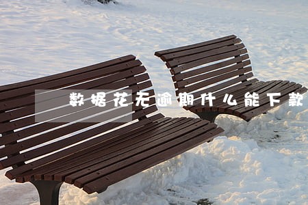 数据花无逾期什么能下款 数据花无逾期什么能下款