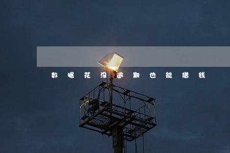 数据花没逾期也能借钱 数据花没逾期也能借钱