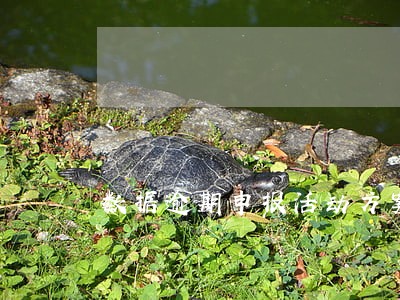 数据逾期申报活动方案 数据逾期申报活动方案