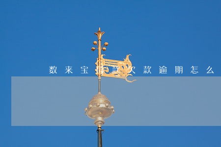 数来宝借款欠款逾期怎么办 数来宝借款欠款逾期怎么办
