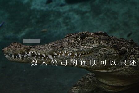 数禾公司的还呗可以只还本金吗 数禾公司的还呗可以只还本金吗