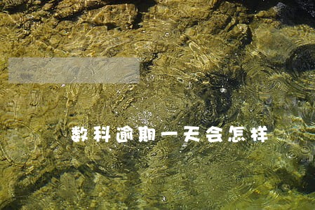 数科逾期一天会怎样 数科逾期一天会怎样
