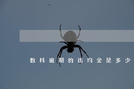 数科逾期的违约金是多少 数科逾期的违约金是多少