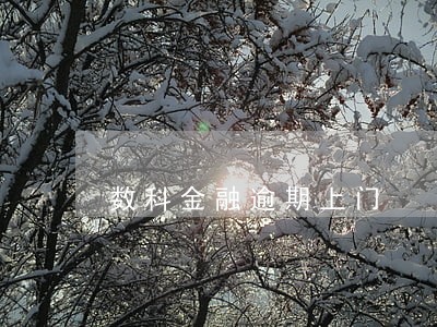 数科金融逾期上门 数科金融逾期上门