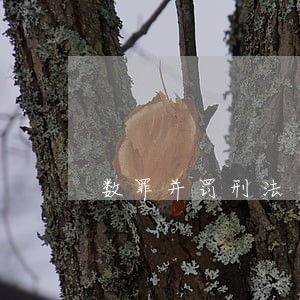 数罪并罚刑法 数罪并罚刑法