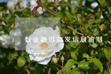 数金融借款发信息逾期 数金融借款发信息逾期