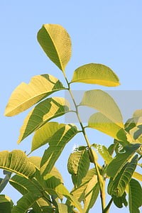 数钱包逾期费用 数钱包逾期费用