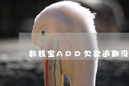 数钱宝APP欠款逾期没还杂办 数钱宝APP欠款逾期没还杂办