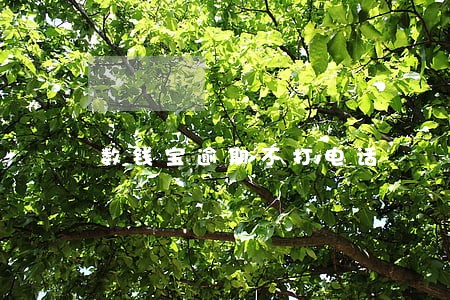数钱宝逾期不打电话 数钱宝逾期不打电话
