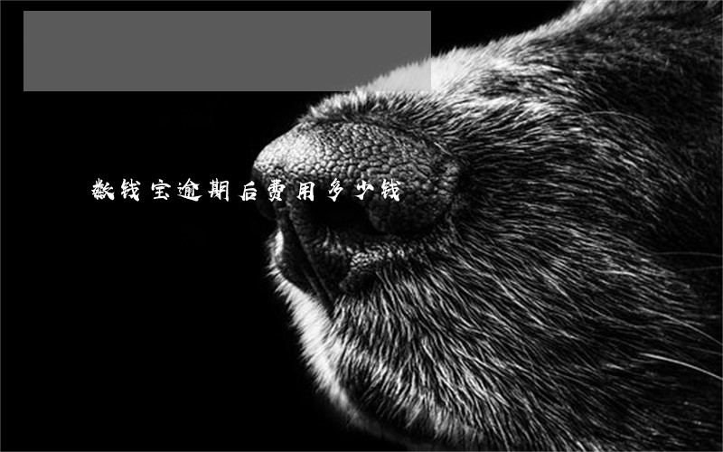 数钱宝逾期后费用多少钱 数钱宝逾期后费用多少钱