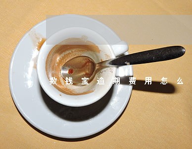 数钱宝逾期费用怎么算 数钱宝逾期费用怎么算
