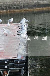 敲掉烟道违法吗知识 敲掉烟道违法吗知识