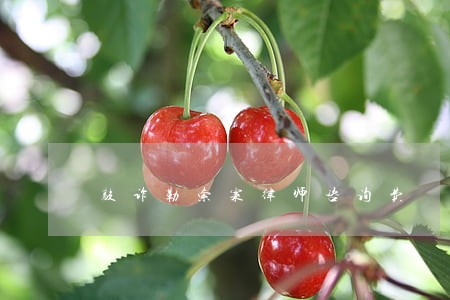 敲诈勒索案律师咨询费 敲诈勒索案律师咨询费
