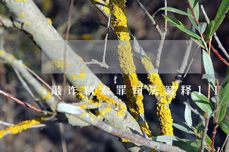 敲诈勒索罪司法解释11号废止
