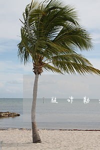 敲诈勒索罪和解后如何处罚 敲诈勒索罪和解后如何处罚