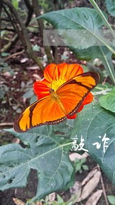 敲诈勒索罪哈尔滨 敲诈勒索罪哈尔滨