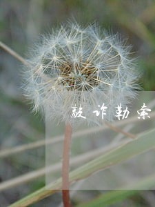 敲诈勒索罪律师咨询平台 敲诈勒索罪律师咨询平台