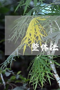 整体法律咨询报价多少 整体法律咨询报价多少
