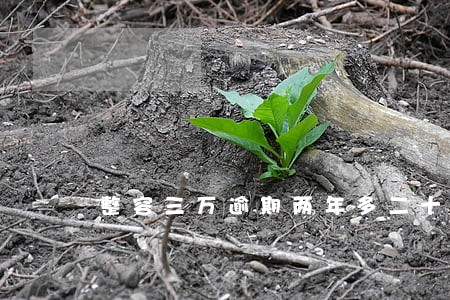 整容三万逾期两年多二十几万 整容三万逾期两年多二十几万