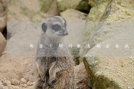 整容分期付款逾期会告我吗