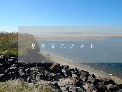 整容贷只还本金 整容贷只还本金