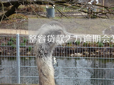 整容贷款2万逾期会怎么样 整容贷款2万逾期会怎么样
