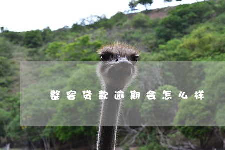 整容贷款逾期会怎么样 整容贷款逾期会怎么样