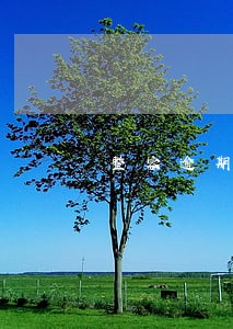 整容逾期金额25一天符合法律嘛 整容逾期金额25一天符合法律嘛