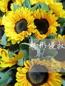 整形侵权诉讼书 整形侵权诉讼书
