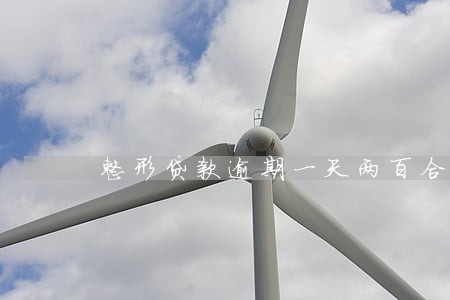 整形贷款逾期一天两百合法吗 整形贷款逾期一天两百合法吗