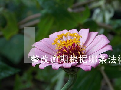整改逾期根据哪条法律 整改逾期根据哪条法律