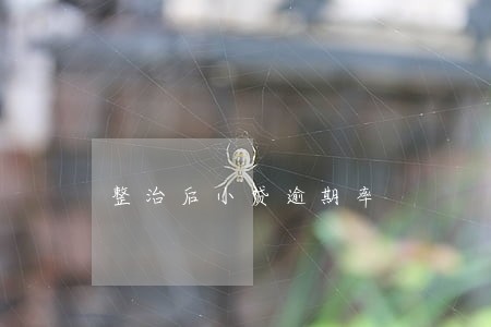 整治后小贷逾期率 整治后小贷逾期率