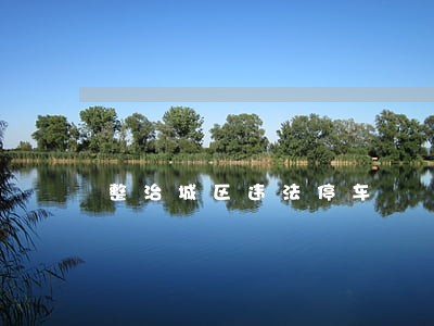 整治城区违法停车