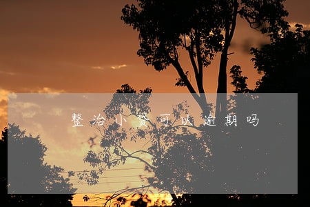 整治小贷可以逾期吗 整治小贷可以逾期吗