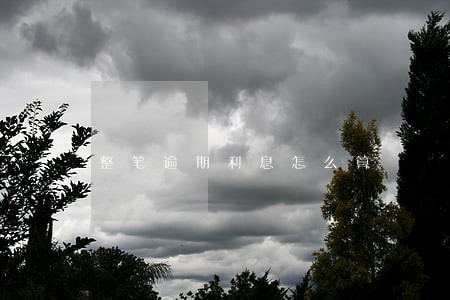 整笔逾期利息怎么算 整笔逾期利息怎么算