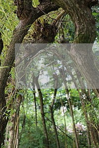 整顿香港司法法官系统 整顿香港司法法官系统