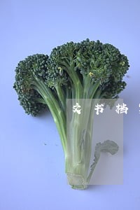 文书档案造假违法吗 文书档案造假违法吗