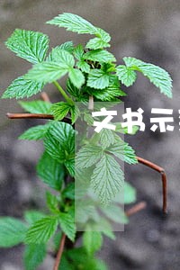 文书示范文本 文书示范文本