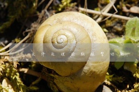 文件处理逾期报警功能 文件处理逾期报警功能