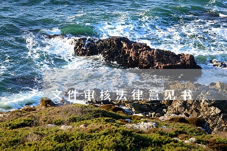文件审核法律意见书 文件审核法律意见书