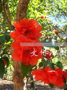 文保范围内进行违法建设 文保范围内进行违法建设