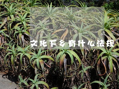 文化下乡有什么法规 文化下乡有什么法规