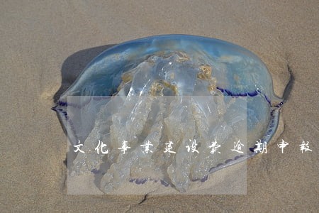 文化事业建设费逾期申报处罚吗 文化事业建设费逾期申报处罚吗